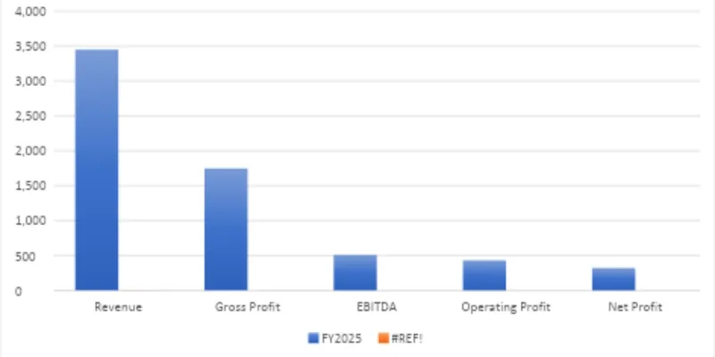 Financial Summary Table
